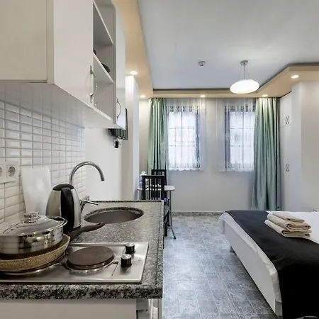 公寓 Cozy & Comfy Studio At Beyoglu - 19