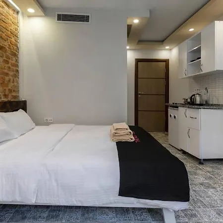 Cozy & Comfy Studio At Beyoglu - 19 * 伊斯坦布尔